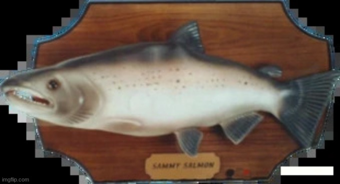 FEESH! | image tagged in feesh | made w/ Imgflip meme maker