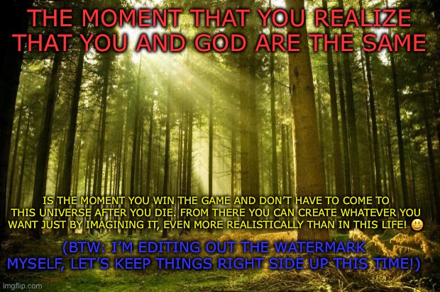 I Am God. :) | THE MOMENT THAT YOU REALIZE THAT YOU AND GOD ARE THE SAME; IS THE MOMENT YOU WIN THE GAME AND DON’T HAVE TO COME TO THIS UNIVERSE AFTER YOU DIE. FROM THERE YOU CAN CREATE WHATEVER YOU WANT JUST BY IMAGINING IT, EVEN MORE REALISTICALLY THAN IN THIS LIFE! 😃; (BTW: I’M EDITING OUT THE WATERMARK MYSELF, LET’S KEEP THINGS RIGHT SIDE UP THIS TIME!) | image tagged in sunlit forest | made w/ Imgflip meme maker