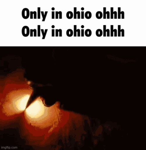 Only in Ohio ohhh | image tagged in only in ohio ohhh | made w/ Imgflip meme maker