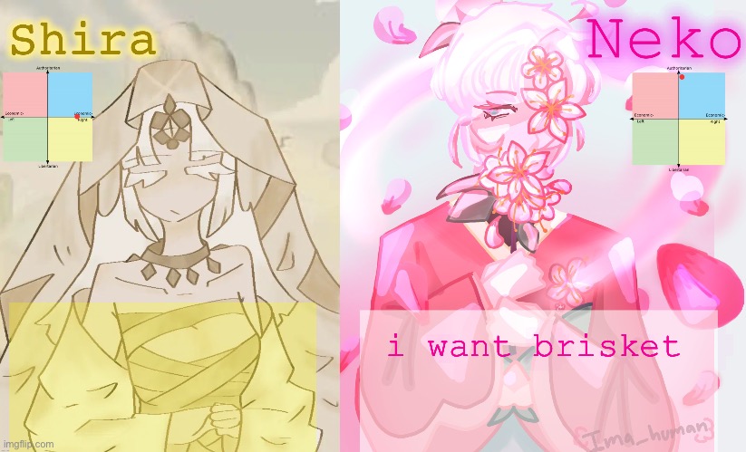 Neko and Shira shared temp | i want brisket | image tagged in neko and shira shared temp | made w/ Imgflip meme maker