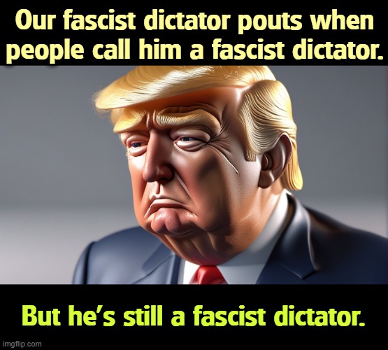 Our fascist dictator pouts when people call him a fascist dictator. But he's still a fascist dictator. | image tagged in trump,fascist,dictator,mental illness,senile dementia | made w/ Imgflip meme maker