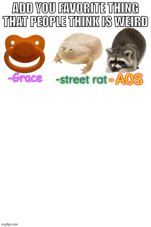 omfg I LOVE Raccoons | -AOS | image tagged in ah my trash babies | made w/ Imgflip meme maker