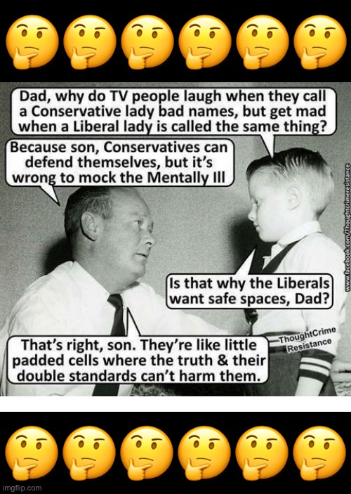 Safe spaces… | 🤔🤔🤔🤔🤔🤔; 🤔🤔🤔🤔🤔🤔 | image tagged in political meme,conservatives,liberals,mentally ill,padded cell | made w/ Imgflip meme maker