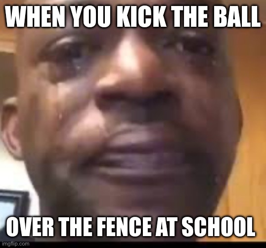 Every one is mad at me | WHEN YOU KICK THE BALL; OVER THE FENCE AT SCHOOL | image tagged in crying man | made w/ Imgflip meme maker
