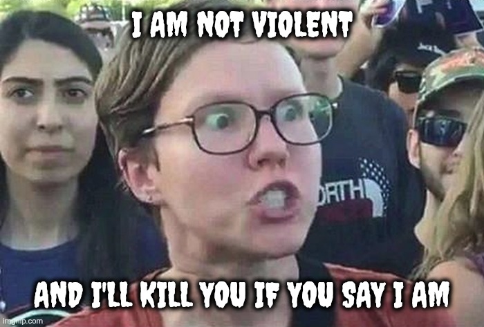 Triggered Liberal | I AM NOT VIOLENT AND I'LL KILL YOU IF YOU SAY I AM | image tagged in triggered liberal | made w/ Imgflip meme maker