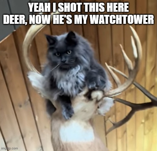 YEAH I SHOT THIS HERE DEER, NOW HE'S MY WATCHTOWER | made w/ Imgflip meme maker