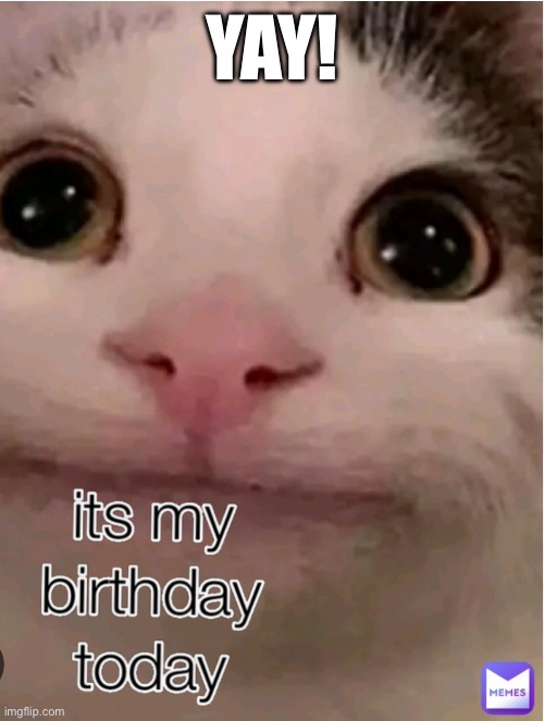 It’s my birthday today | YAY! | image tagged in beluga | made w/ Imgflip meme maker