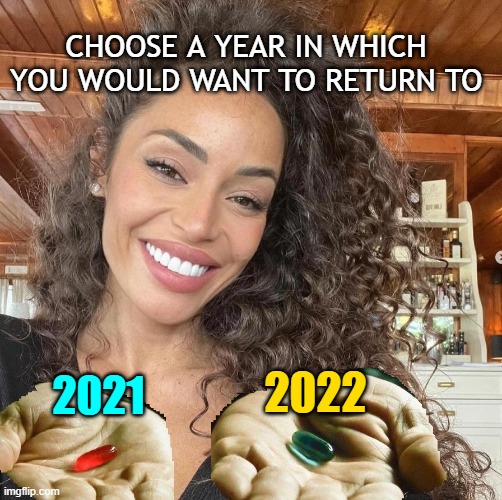 CHOOSE A YEAR IN WHICH YOU WOULD WANT TO RETURN TO; 2022; 2021 | image tagged in what year is it | made w/ Imgflip meme maker