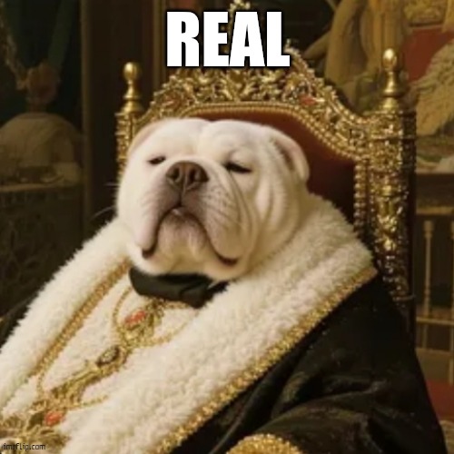 real | REAL | image tagged in real | made w/ Imgflip meme maker