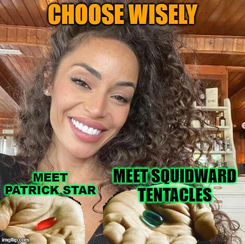 wisely... i said | CHOOSE WISELY; MEET PATRICK STAR; MEET SQUIDWARD TENTACLES | image tagged in choose wisely | made w/ Imgflip meme maker