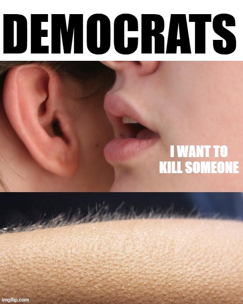 Demcrats | DEMOCRATS; I WANT TO KILL SOMEONE | image tagged in whisper and goosebumps | made w/ Imgflip meme maker
