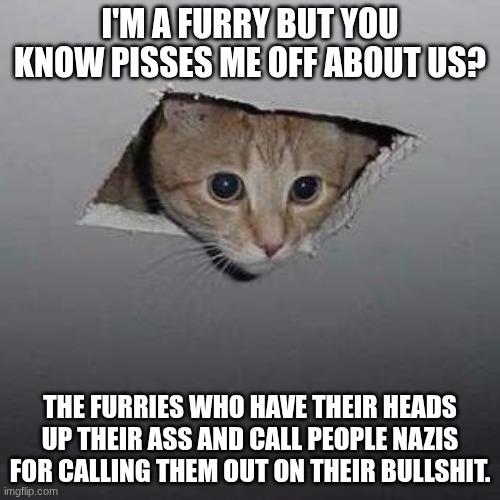 last post here, I promise | I'M A FURRY BUT YOU KNOW PISSES ME OFF ABOUT US? THE FURRIES WHO HAVE THEIR HEADS UP THEIR ASS AND CALL PEOPLE NAZIS FOR CALLING THEM OUT ON THEIR BULLSHIT. | image tagged in memes,ceiling cat | made w/ Imgflip meme maker