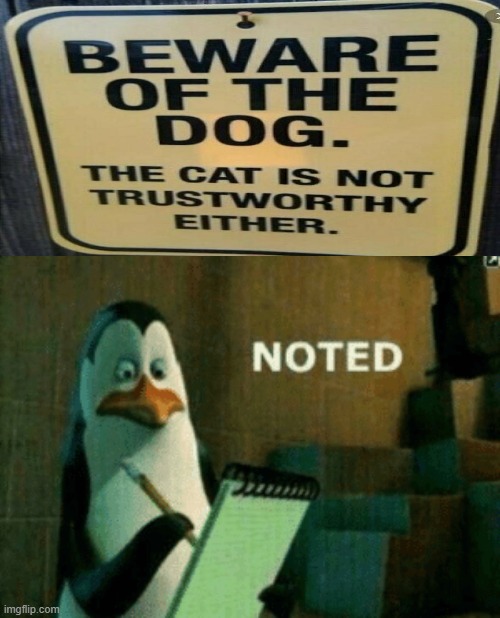 watch out for da dog | image tagged in noted | made w/ Imgflip meme maker