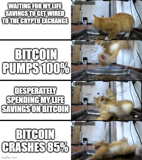 Kibble Kitty Ambush | WAITING FOR MY LIFE SAVINGS TO GET WIRED TO THE CRYPTO EXCHANGE; BITCOIN PUMPS 100%; DESPERATELY SPENDING MY LIFE SAVINGS ON BITCOIN; BITCOIN CRASHES 85% | image tagged in kibble kitty ambush | made w/ Imgflip meme maker