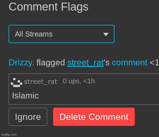 bro you're the owner you can delete it yourself | made w/ Imgflip meme maker