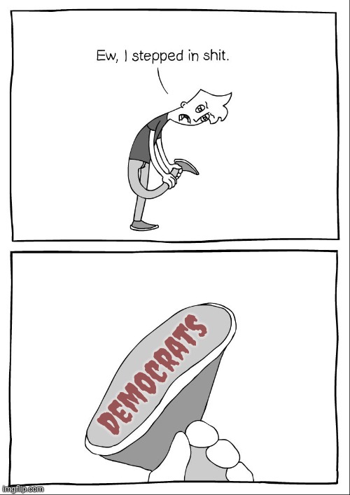 Ew, i stepped in shit | Democrats | image tagged in ew i stepped in shit | made w/ Imgflip meme maker
