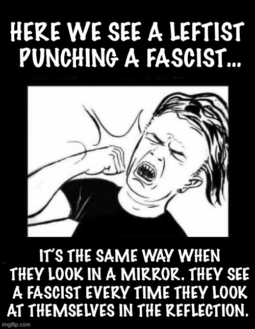 They’re the real fascists. Just look at Antifa and all of the leftist “protesters”… | HERE WE SEE A LEFTIST 
PUNCHING A FASCIST… | image tagged in political meme,leftist punching a fascist,the same,the real fascists | made w/ Imgflip meme maker