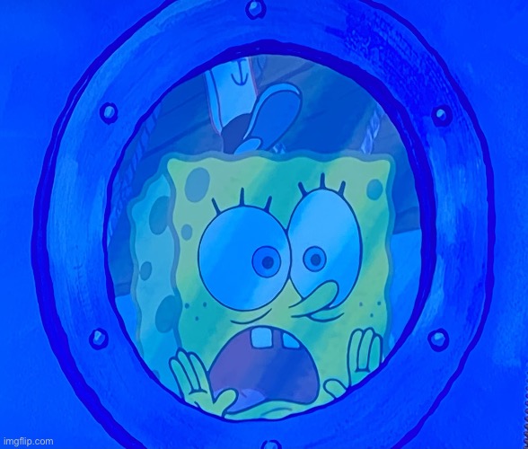 Surprised spob | image tagged in surprised spob | made w/ Imgflip meme maker
