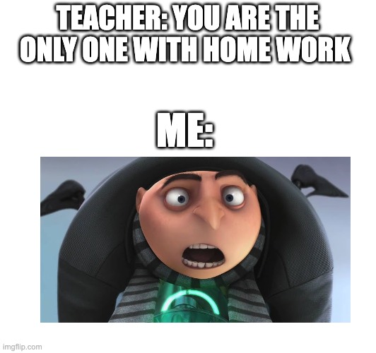 nooooooooooooo | TEACHER: YOU ARE THE ONLY ONE WITH HOME WORK; ME: | image tagged in despicable me | made w/ Imgflip meme maker