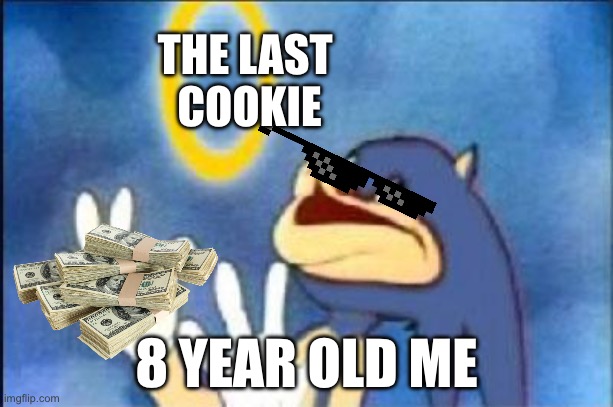 Sonic derp | THE LAST 
COOKIE; 8 YEAR OLD ME | image tagged in sonic derp | made w/ Imgflip meme maker