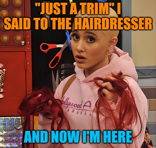 hairdresser | "JUST A TRIM" I SAID TO THE HAIRDRESSER; AND NOW I'M HERE | image tagged in memes | made w/ Imgflip meme maker