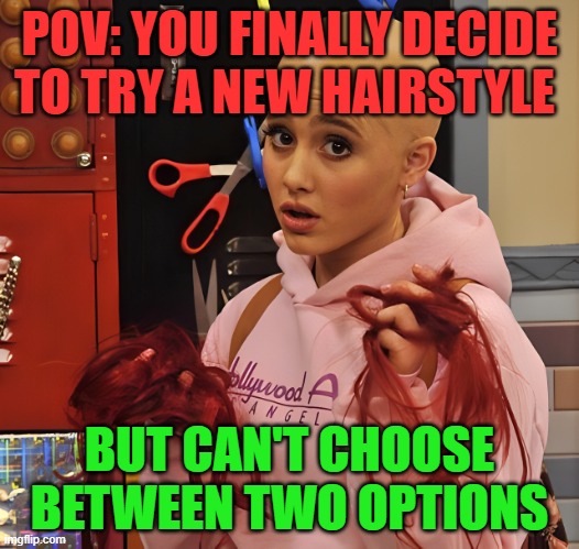 new hairstyle | POV: YOU FINALLY DECIDE TO TRY A NEW HAIRSTYLE; BUT CAN'T CHOOSE BETWEEN TWO OPTIONS | image tagged in memes | made w/ Imgflip meme maker