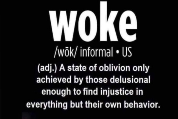 WOKE | image tagged in woke,liberal privilege,liberal logic,liberal hypocrisy,entitlement,delusional | made w/ Imgflip meme maker