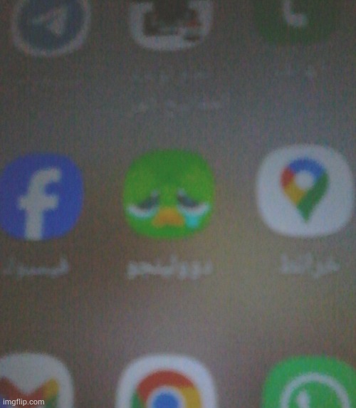 wtf is ts doolingo im dying | made w/ Imgflip meme maker