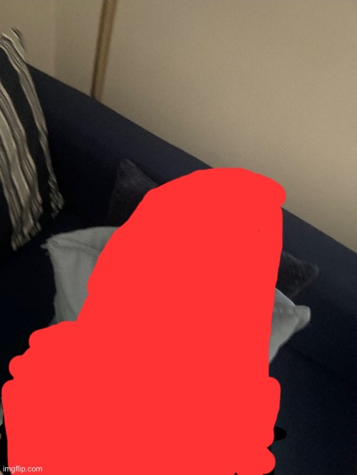 fit check (censored for privacy) | made w/ Imgflip meme maker