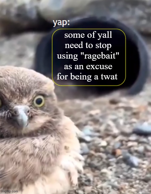 Parannouncements lazy | some of yall need to stop using "ragebait" as an excuse for being a twat | image tagged in parannouncements lazy | made w/ Imgflip meme maker