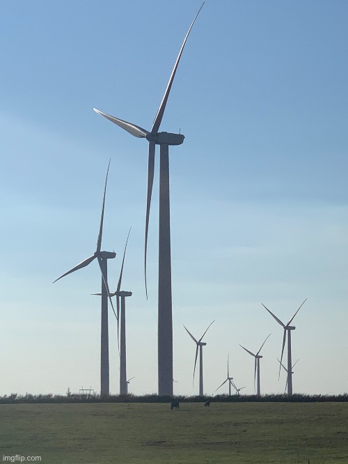 Cow vs windmill size | made w/ Imgflip meme maker