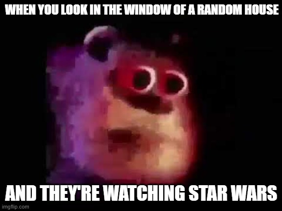 sully mmmmmmmm | WHEN YOU LOOK IN THE WINDOW OF A RANDOM HOUSE; AND THEY'RE WATCHING STAR WARS | image tagged in sully mmmmmmmm | made w/ Imgflip meme maker