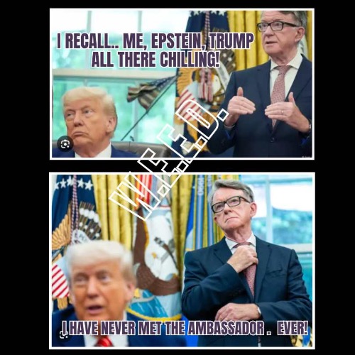 I RECALL | image tagged in epstein,trump | made w/ Imgflip meme maker