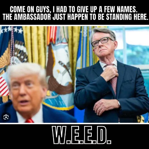 GIVE A FEW NAMES | image tagged in ambassador,donald trump | made w/ Imgflip meme maker