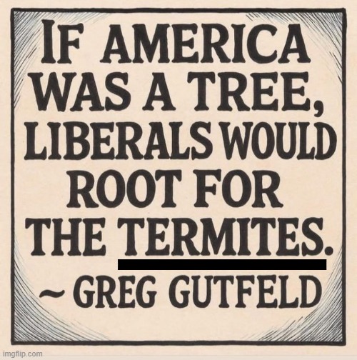 Liberals are not on America's side | image tagged in good guy greg,america,liberals,evil,liberals vs conservatives | made w/ Imgflip meme maker