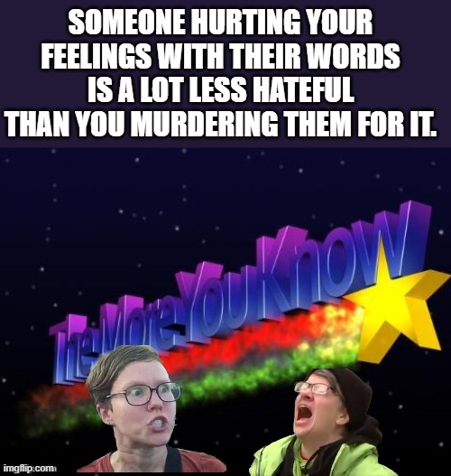 the more you know | SOMEONE HURTING YOUR FEELINGS WITH THEIR WORDS IS A LOT LESS HATEFUL THAN YOU MURDERING THEM FOR IT. | image tagged in the more you know | made w/ Imgflip meme maker