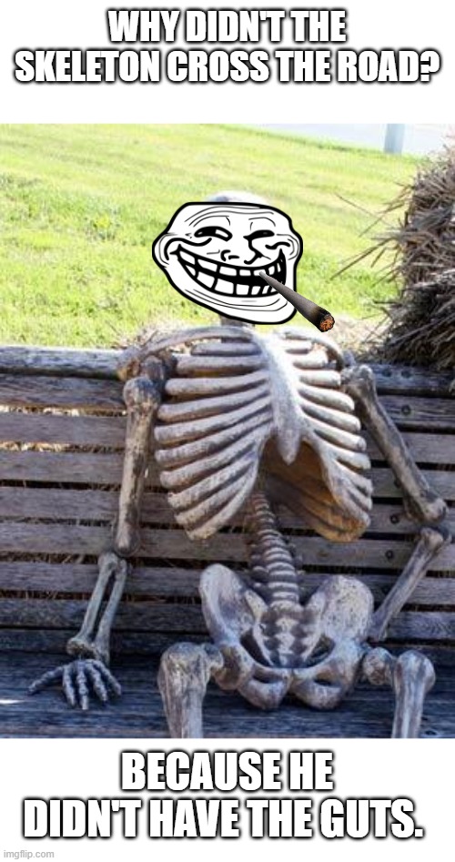 ;) | WHY DIDN'T THE SKELETON CROSS THE ROAD? BECAUSE HE DIDN'T HAVE THE GUTS. | image tagged in memes,waiting skeleton,puns,jokes,skeleton,stop reading the tags | made w/ Imgflip meme maker