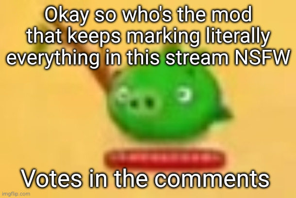 angry birds epic pig | Okay so who's the mod that keeps marking literally everything in this stream NSFW; Votes in the comments | image tagged in staring stick pig,l mod | made w/ Imgflip meme maker