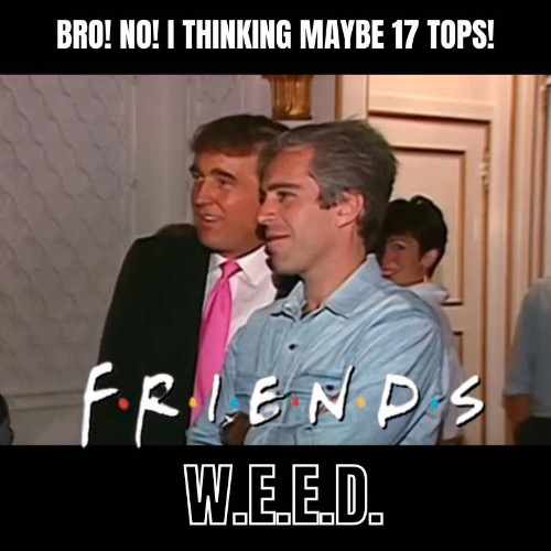 17 TOPS | image tagged in donald trump,jeffrey epstein | made w/ Imgflip meme maker