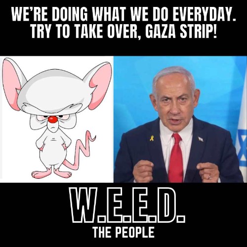 SLINKY AND THE BRAIN | image tagged in israel,pinky and the brain | made w/ Imgflip meme maker