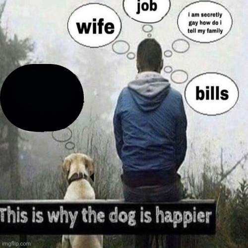 This is why the dog is happier Blank Meme Template