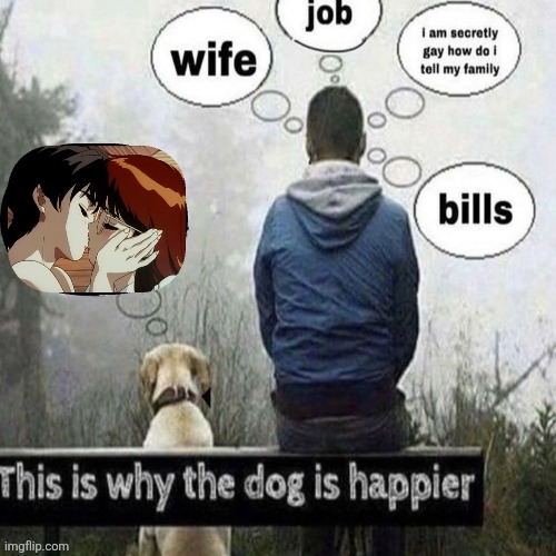 This is why the dog is happier | image tagged in this is why the dog is happier | made w/ Imgflip meme maker
