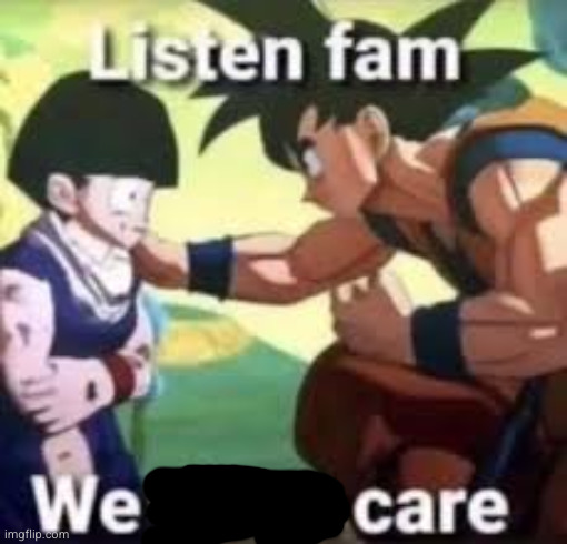 Listen fam we don't care | image tagged in listen fam we don't care | made w/ Imgflip meme maker