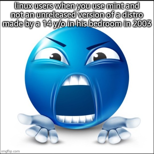 Angry Blue Guy | linux users when you use mint and not an unreleased version of a distro made by a 14 y/o in his bedroom in 2003 | image tagged in angry blue guy | made w/ Imgflip meme maker