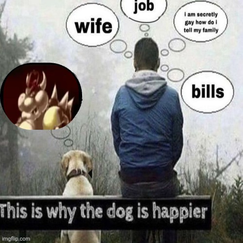 This is why the dog is happier | image tagged in this is why the dog is happier | made w/ Imgflip meme maker