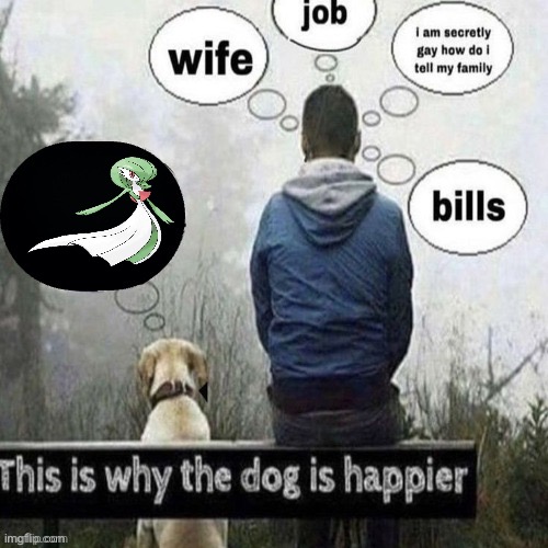 goonevoir vaporneon lopornny | image tagged in this is why the dog is happier | made w/ Imgflip meme maker