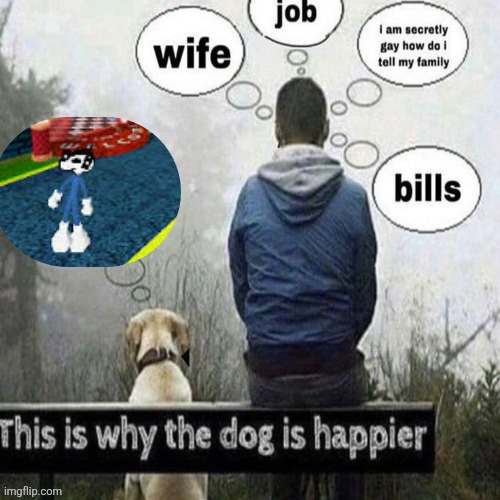 This is why the dog is happier | image tagged in this is why the dog is happier | made w/ Imgflip meme maker