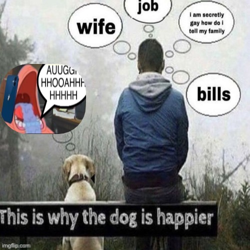 h | image tagged in this is why the dog is happier | made w/ Imgflip meme maker