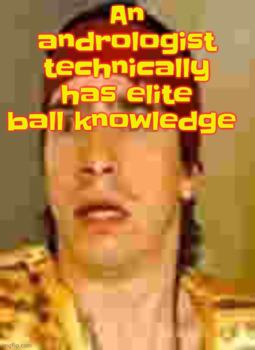 when the | An andrologist technically has elite ball knowledge | image tagged in when the | made w/ Imgflip meme maker