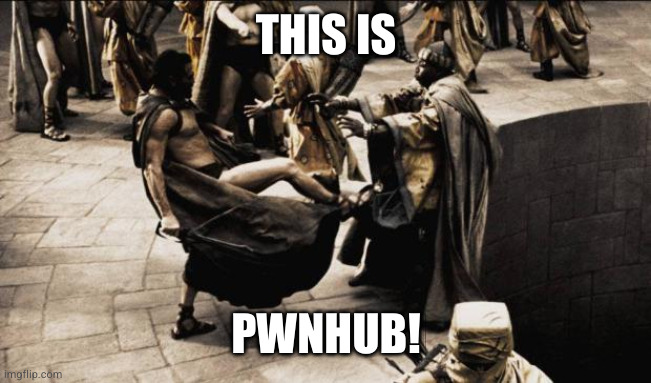 madness - this is sparta | THIS IS; PWNHUB! | image tagged in madness - this is sparta | made w/ Imgflip meme maker